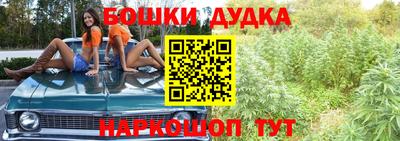 Альфа ПВП Гусиноозёрск